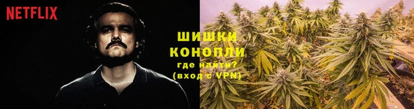 дживик Володарск