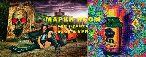 дживик Володарск