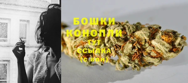 дживик Володарск
